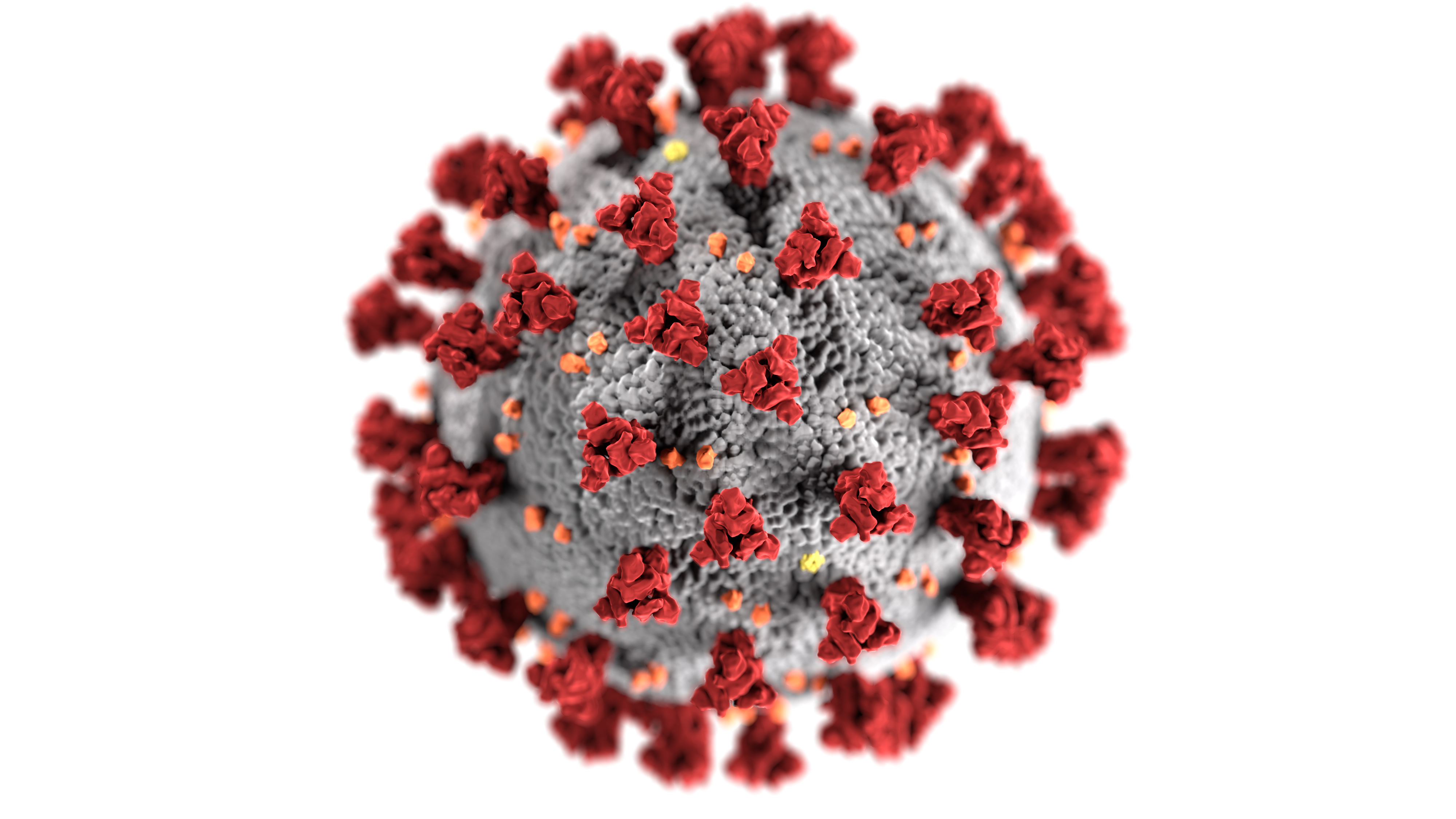 COVID-19 Policy Update